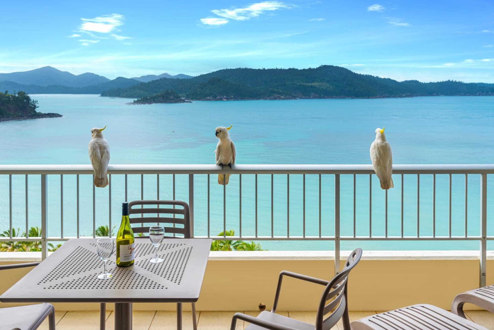 Whitsunday Apartments On Hamilton Island By Hiha エクステリア 写真